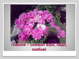 Півонія – символ віри, надії,
любові
 