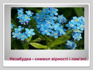 Незабудка - символ вірності і пам’яті
 