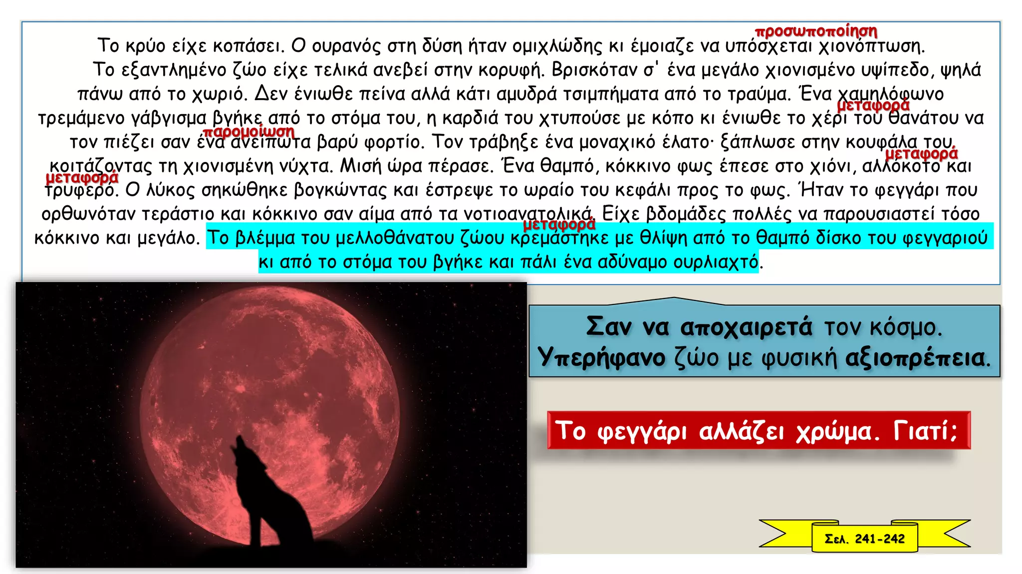 Το κρύο είχε κοπάσει. Ο ουρανός στη δύση ήταν ομιχλώδης κι έμοιαζε να υπόσχεται χιονόπτωση.
Το εξαντλημένο ζώο είχε τελικά ανεβεί στην κορυφή. Βρισκόταν σ' ένα μεγάλο χιονισμένο υψίπεδο, ψηλά
πάνω από το χωριό. Δεν ένιωθε πείνα αλλά κάτι αμυδρά τσιμπήματα από το τραύμα. Ένα χαμηλόφωνο
τρεμάμενο γάβγισμα βγήκε από το στόμα του, η καρδιά του χτυπούσε με κόπο κι ένιωθε το χέρι του θανάτου να
τον πιέζει σαν ένα ανείπωτα βαρύ φορτίο. Τον τράβηξε ένα μοναχικό έλατο· ξάπλωσε στην κουφάλα του
κοιτάζοντας τη χιονισμένη νύχτα. Μισή ώρα πέρασε. Ένα θαμπό, κόκκινο φως έπεσε στο χιόνι, αλλόκοτο και
τρυφερό. Ο λύκος σηκώθηκε βογκώντας και έστρεψε το ωραίο του κεφάλι προς το φως. Ήταν το φεγγάρι που
ορθωνόταν τεράστιο και κόκκινο σαν αίμα από τα νοτιοανατολικά. Είχε βδομάδες πολλές να παρουσιαστεί τόσο
κόκκινο και μεγάλο. Το βλέμμα του μελλοθάνατου ζώου κρεμάστηκε με θλίψη από το θαμπό δίσκο του φεγγαριού
κι από το στόμα του βγήκε και πάλι ένα αδύναμο ουρλιαχτό.
Σαν να αποχαιρετά τον κόσμο.
Υπερήφανο ζώο με φυσική αξιοπρέπεια.
Το φεγγάρι αλλάζει χρώμα. Γιατί;
Σελ. 241-242
μεταφορά
μεταφορά
μεταφορά
μεταφορά
προσωποποίηση
παρομοίωση
 