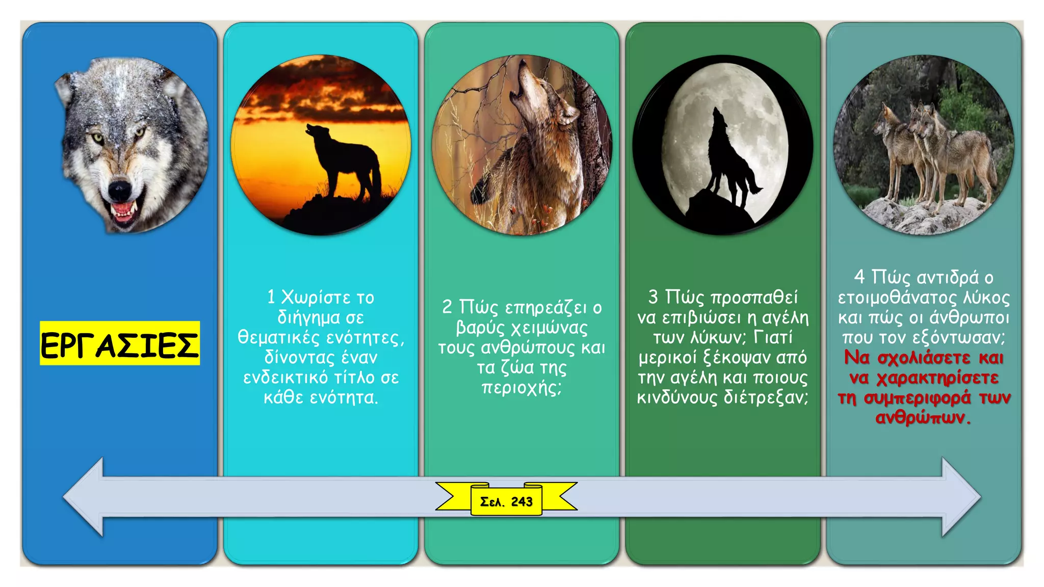 ΕΡΓΑΣΙΕΣ
1 Χωρίστε το
διήγημα σε
θεματικές ενότητες,
δίνοντας έναν
ενδεικτικό τίτλο σε
κάθε ενότητα.
2 Πώς επηρεάζει ο
βαρύς χειμώνας
τους ανθρώπους και
τα ζώα της
περιοχής;
3 Πώς προσπαθεί
να επιβιώσει η αγέλη
των λύκων; Γιατί
μερικοί ξέκοψαν από
την αγέλη και ποιους
κινδύνους διέτρεξαν;
4 Πώς αντιδρά ο
ετοιμοθάνατος λύκος
και πώς οι άνθρωποι
που τον εξόντωσαν;
Να σχολιάσετε και
να χαρακτηρίσετε
τη συμπεριφορά των
ανθρώπων.
Σελ. 243
 