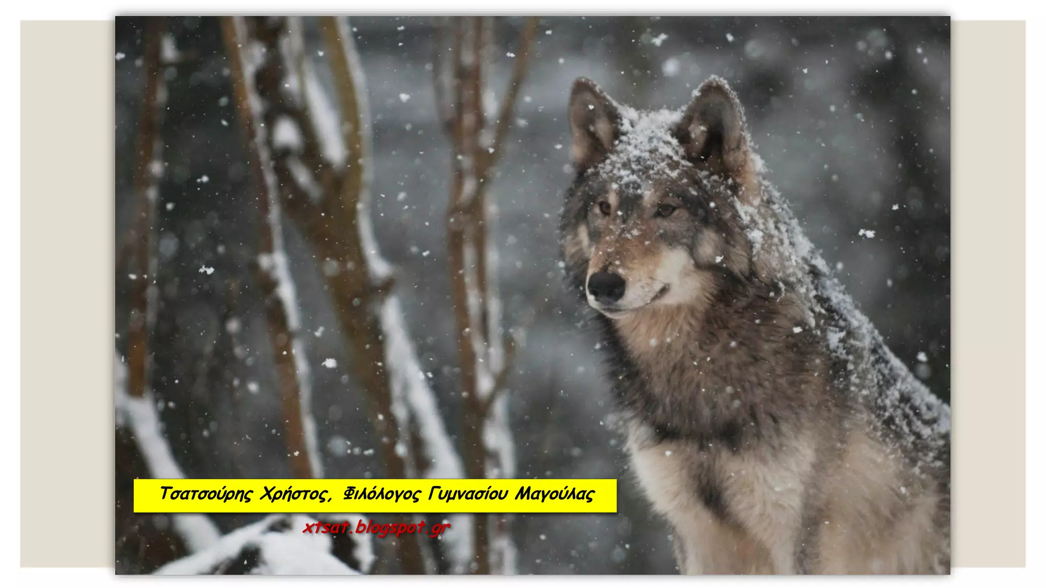 Τσατσούρης Χρήστος, Φιλόλογος Γυμνασίου Μαγούλας
xtsat.blogspot.gr
 