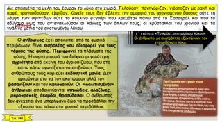 Με σπασμένα τα μέλη του έσυραν το λύκο στο χωριό. Γελούσαν, πανηγύριζαν, γιόρταζαν με ρακή και
καφέ, τραγουδούσαν, έβριζαν. Κανείς τους δεν έβλεπε την ομορφιά του χιονισμένου δάσους ούτε τη
λάμψη των υψιπέδων ούτε το κόκκινο φεγγάρι που κρεμόταν πάνω από το Σασσεράλ και που το
αδύναμο φως του αντανακλούσαν οι κάννες των όπλων τους, οι κρύσταλλοι του χιονιού και τα
γυάλινα μάτια του σκοτωμένου λύκου.
ε΄ ενότητα «Το κρύο...σκοτωμένου λύκου»
Οι άνθρωποι με σκληρότητα εξοντώνουν τον
ετοιμοθάνατο λύκο.
Ο άνθρωπος έχει αποκοπεί από το φυσικό
περιβάλλον. Είναι εισβολέας που αδιαφορεί για τους
νόμους της φύσης. Περιφρονεί τα πλάσματα της
φύσης. Η συμπεριφορά του δείχνει μεγαλύτερη
αγριότητα από εκείνη του άγριου ζώου, που στο
κάτω κάτω αγωνίζεται να επιβιώσει. Τους
ανθρώπους τους κυριεύει εκδικητική μανία. Δεν
αρκούνται στο να τον σκοτώσουν αλλά τον
βασανίζουν και τον κακοποιούν. Οι «πολιτισμένοι»
άνθρωποι αποδεικνύονται κτηνώδεις, αλαζόνες,
μικροπρεπείς, άκαρδοι, θρασύδειλοι. Ο άνθρωπος
δεν ανέχεται ένα υπερήφανο ζώο να προσβάλλει την
εξουσία του πάνω στο φυσικό περιβάλλον.
Σελ. 242
μεταφορά
 