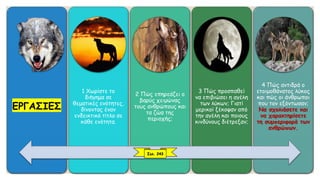 ΕΡΓΑΣΙΕΣ
1 Χωρίστε το
διήγημα σε
θεματικές ενότητες,
δίνοντας έναν
ενδεικτικό τίτλο σε
κάθε ενότητα.
2 Πώς επηρεάζει ο
βαρύς χειμώνας
τους ανθρώπους και
τα ζώα της
περιοχής;
3 Πώς προσπαθεί
να επιβιώσει η αγέλη
των λύκων; Γιατί
μερικοί ξέκοψαν από
την αγέλη και ποιους
κινδύνους διέτρεξαν;
4 Πώς αντιδρά ο
ετοιμοθάνατος λύκος
και πώς οι άνθρωποι
που τον εξόντωσαν;
Να σχολιάσετε και
να χαρακτηρίσετε
τη συμπεριφορά των
ανθρώπων.
Σελ. 243
 