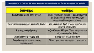 διήγημα ποίημα
Ελεύθερος μέσα στην αγέλη Είναι «κάπως» λύκος – φυλακισμένος
σε ζωολογικό κήπο που θυμίζει
στρατόπεδο συγκέντρωσης
Υφίσταται δοκιμασίες φυσικής ζωής Ζει αφύσικη ζωή χωρίς κυνήγι και
αγώνα επιβίωσης
Άγριος, υπερήφανος Αξιολύπητο θέαμα. Ταπεινωμένο και
εξευτελισμένο ζώο
Ανεξάρτητος = ωμή βία Σκλαβιά = γελοιοποίηση
Συγκίνηση για ανυπότακτη
συμπεριφορά
Οίκτο για ταπείνωση που υφίσταται
Να συγκρίνετε τη ζωή των δύο λύκων που συναντάμε στο διήγημα του Έσε και στο ποίημα του Μαρκίδη.
 