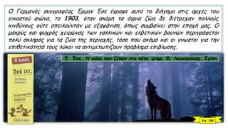 O Γερμανός συγγραφέας Έρμαν Έσε έγραψε αυτό το διήγημα στις αρχές του
εικοστού αιώνα, το 1903, όταν ακόμη τα άγρια ζώα δε διέτρεχαν πολλούς
κινδύνους ούτε απειλούνταν με εξαφάνιση, όπως συμβαίνει στην εποχή μας. O
μακρύς και ψυχρός χειμώνας των γαλλικών και ελβετικών βουνών περιγράφεται
πολύ σκληρός για τα ζώα της περιοχής, τόσο που ακόμα και οι γνωστοί για την
επιθετικότητά τους λύκοι να αντιμετωπίζουν πρόβλημα επιβίωσης.
Έ. Έσε, Η πόλη των ξένων στο νότο, μτφρ. Θ. Λουπασάκης, Σμίλη
Σελ. 239
 