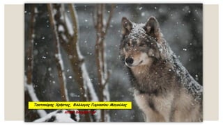 Τσατσούρης Χρήστος, Φιλόλογος Γυμνασίου Μαγούλας
xtsat.blogspot.gr
 