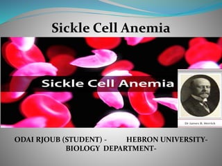 Sickle Cell Anemia
ODAI RJOUB (STUDENT) - HEBRON UNIVERSITY-
BIOLOGY DEPARTMENT-
 