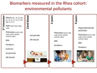 Biomarkers measured in the Rhea cohort:
environmental pollutants
1sttrimester
Metals (Pb, Sb, Cd, Mo,
Se, As, Zn, Cu, Co, Fe, Mn,
Mg, Ca, B, Li)
POPs (DDT, DDE, PCBs,
HCB)
Phthalates (mEP, mBP,
miBP, mEHP, mEOHP,
mEHHP, mBzP)
BPA
Parabens
Cotinine
Acrylamide
DR CALUX
Cordblood
Acrylamide
DR CALUX
2years
Phthalates (mEP, mBP,
miBP, mEHP, mEOHP,
mEHHP, mBzP)
BPA
Parabens
4years
Organophosphate
pesticides
Phthalates (mEP, mBP,
miBP, mEHP, mEOHP,
mEHHP, mBzP)
BPA
Parabens
 