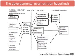 Lawlor, Int Journal of Epidemiology, 2013
The developmental overnutrition hypothesis
 