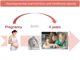 Pregnancy Birth 4 years
Developmental overnutrition and childhood obesity
 