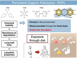 Chemical
stability
Resistance to
degradation
Long half
lives
Lipophilic
properties
• Persist in the environment
• Bioaccumulate through the food chain
• Endocrine disruptors
DDE HCB PCBs
Persistent Organic Pollutants - POPs
Exposure
through diet
 