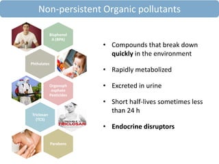 Bisphenol
A (BPA)
Bisphenol
A (BPA)
PhthalatesPhthalates
Organoph
osphate
Pesticides
Organoph
osphate
Pesticides
Triclosan
(TCS)
Triclosan
(TCS)
ParabensParabens
• Compounds that break down
quickly in the environment
• Rapidly metabolized
• Excreted in urine
• Short half-lives sometimes less
than 24 h
• Endocrine disruptors
Non-persistent Organic pollutants
 