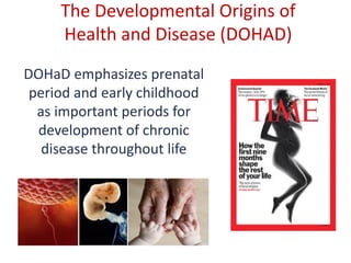 The Developmental Origins of
Health and Disease (DOHAD)
DOHaD emphasizes prenatal
period and early childhood
as important periods for
development of chronic
disease throughout life
 