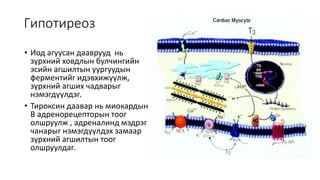 синусын брадикарди | PPT