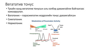 синусын брадикарди | PPT
