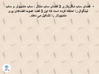 •‫ماگزیالری‬ ‫ساب‬ ‫فضای‬3‫ساب‬ ‫و‬ ‫مندیبولر‬ ‫ساب‬ ، ‫منتال‬ ‫ساب‬ ‫فضای‬
‫این‬ ‫که‬ ‫است‬ ‫کرده‬ ‫احاطه‬ ‫را‬ ‫لینگوال‬3‫پری‬ ‫فضاهای‬ ‫عموما‬ ‫فضا‬
‫دهند‬ ‫می‬ ‫تشکیل‬ ‫را‬ ‫مندیبوالر‬.
 