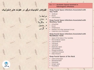 ‫ادنتوژنی‬ ‫های‬ ‫عفونت‬ ‫در‬ ‫درگیر‬ ‫آناتومیک‬ ‫فضاهای‬‫ک‬
‫با‬ ‫مرتبط‬:
•‫دندان‬
•‫ماگزیال‬
•‫مندیبل‬
•‫گردن‬
 