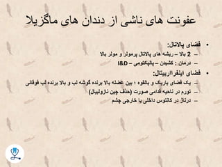 ‫ماگزیال‬ ‫های‬ ‫دندان‬ ‫از‬ ‫ناشی‬ ‫های‬ ‫عفونت‬
•‫پاالتال‬ ‫فضای‬:
–2‫باال‬–‫باال‬ ‫مولر‬ ‫و‬ ‫پرمولر‬ ‫پاالتال‬ ‫های‬ ‫ریشه‬
–‫درمان‬:‫کشیدن‬–‫پالپکتومی‬–I&D
•‫اینفرااربیتال‬ ‫فضای‬:
–‫فو‬ ‫لب‬ ‫برنده‬ ‫باال‬ ‫و‬ ‫لب‬ ‫گوشه‬ ‫برنده‬ ‫باال‬ ‫عضله‬ ‫بین‬ ‫؛‬ ‫بالقوه‬ ‫و‬ ‫باریک‬ ‫فضای‬ ‫یک‬‫قانی‬
–‫صورت‬ ‫قدامی‬ ‫ناحیه‬ ‫در‬ ‫تورم‬(‫نازولبیال‬ ‫چین‬ ‫حذف‬)
–‫چشم‬ ‫خارجی‬ ‫یا‬ ‫داخلی‬ ‫کانتوس‬ ‫در‬ ‫درناژ‬
 