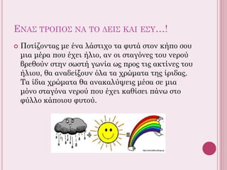 ΕΝΑΣ ΤΡΟΠΟΣ ΝΑ ΤΟ ΔΕΙΣ ΚΑΙ ΕΣΥ…!
 Ποτίζοντας με ένα λάστιχο τα φυτά στον κήπο σου
μια μέρα που έχει ήλιο, αν οι σταγόνες του νερού
βρεθούν στην σωστή γωνία ως προς τις ακτίνες του
ήλιου, θα αναδείξουν όλα τα χρώματα της ίριδας.
Τα ίδια χρώματα θα ανακαλύψεις μέσα σε μια
μόνο σταγόνα νερού που έχει καθίσει πάνω στο
φύλλο κάποιου φυτού.
 