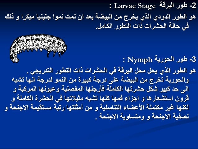 2012 2013 محاضرات حشرات البساتين هاني احمد ابرهيم اكريى