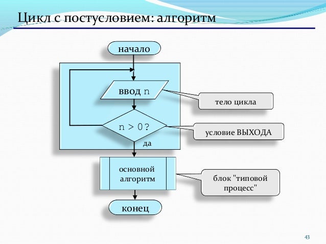Какой цикл принято изображать следующей. Какой цикл принято изображать следующей