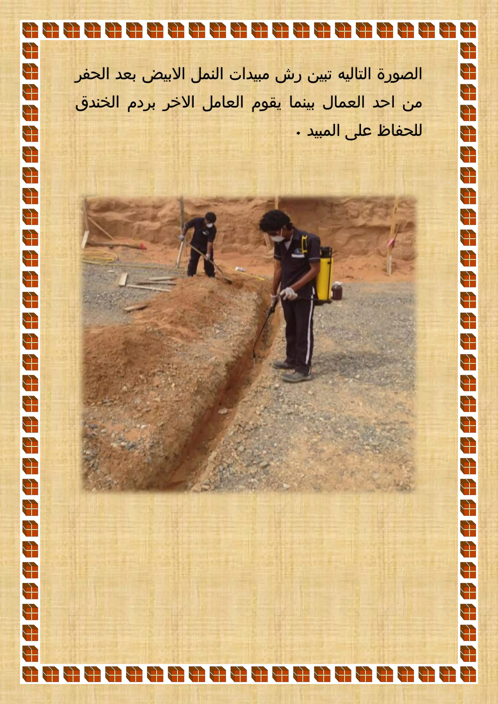 ‫الحفر‬ ‫بعد‬ ‫االبيض‬ ‫النمل‬ ‫مبيدات‬ ‫رش‬ ‫تبين‬ ‫التاليه‬ ‫الصورة‬
‫الخندق‬ ‫بردم‬ ‫االخر‬ ‫العامل‬ ‫يقوم‬ ‫بينما‬ ‫العمال‬ ‫احد‬ ‫من‬
‫المب‬ ‫على‬ ‫للحفاظ‬‫يد‬0
 