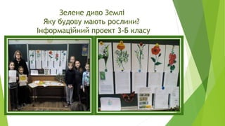 Зелене диво Землі
Яку будову мають рослини?
Інформаційний проект 3-Б класу
 