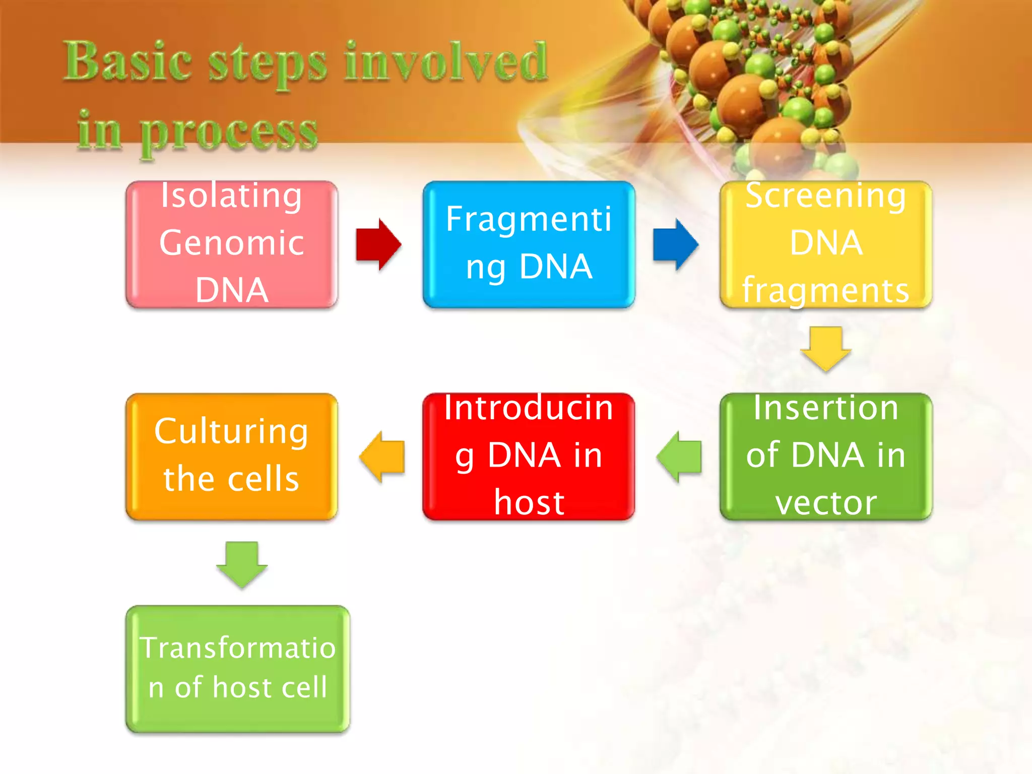 Isolating
Genomic
DNA
Fragmenti
ng DNA
Screening
DNA
fragments
Insertion
of DNA in
vector
Introducin
g DNA in
host
Culturing
the cells
Transformatio
n of host cell
 