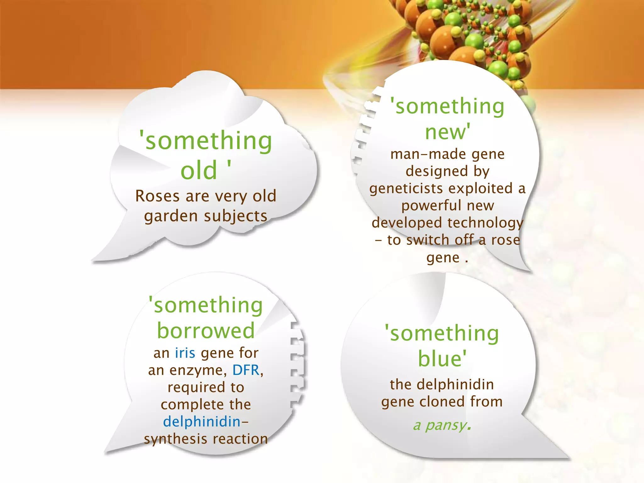 'something
blue'
the delphinidin
gene cloned from
a pansy.
'something
borrowed
an iris gene for
an enzyme, DFR,
required to
complete the
delphinidin-
synthesis reaction
'something
new'
man-made gene
designed by
geneticists exploited a
powerful new
developed technology
- to switch off a rose
gene .
'something
old '
Roses are very old
garden subjects
 