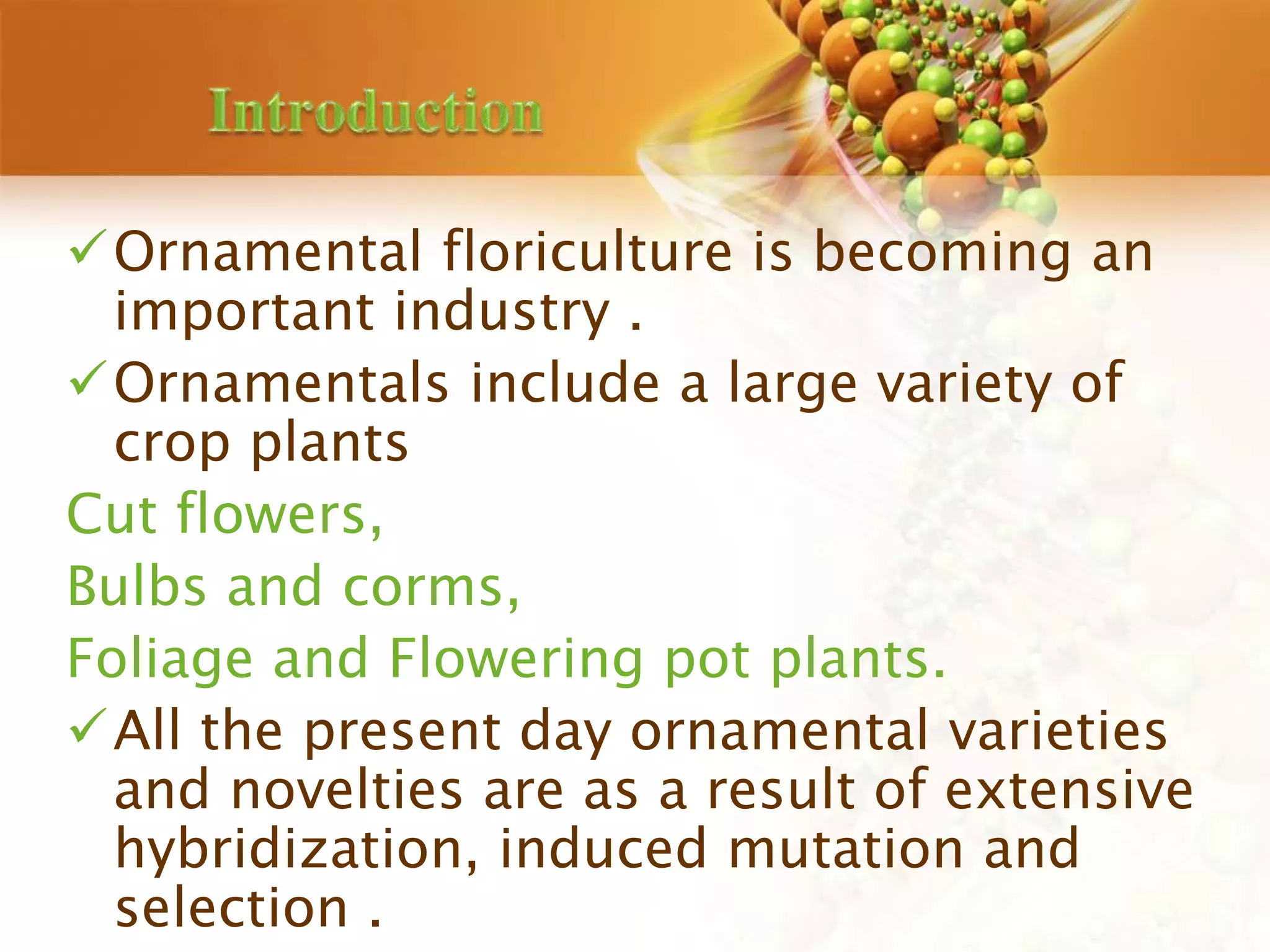 Ornamental floriculture is becoming an
important industry .
Ornamentals include a large variety of
crop plants
Cut flowers,
Bulbs and corms,
Foliage and Flowering pot plants.
All the present day ornamental varieties
and novelties are as a result of extensive
hybridization, induced mutation and
selection .
 