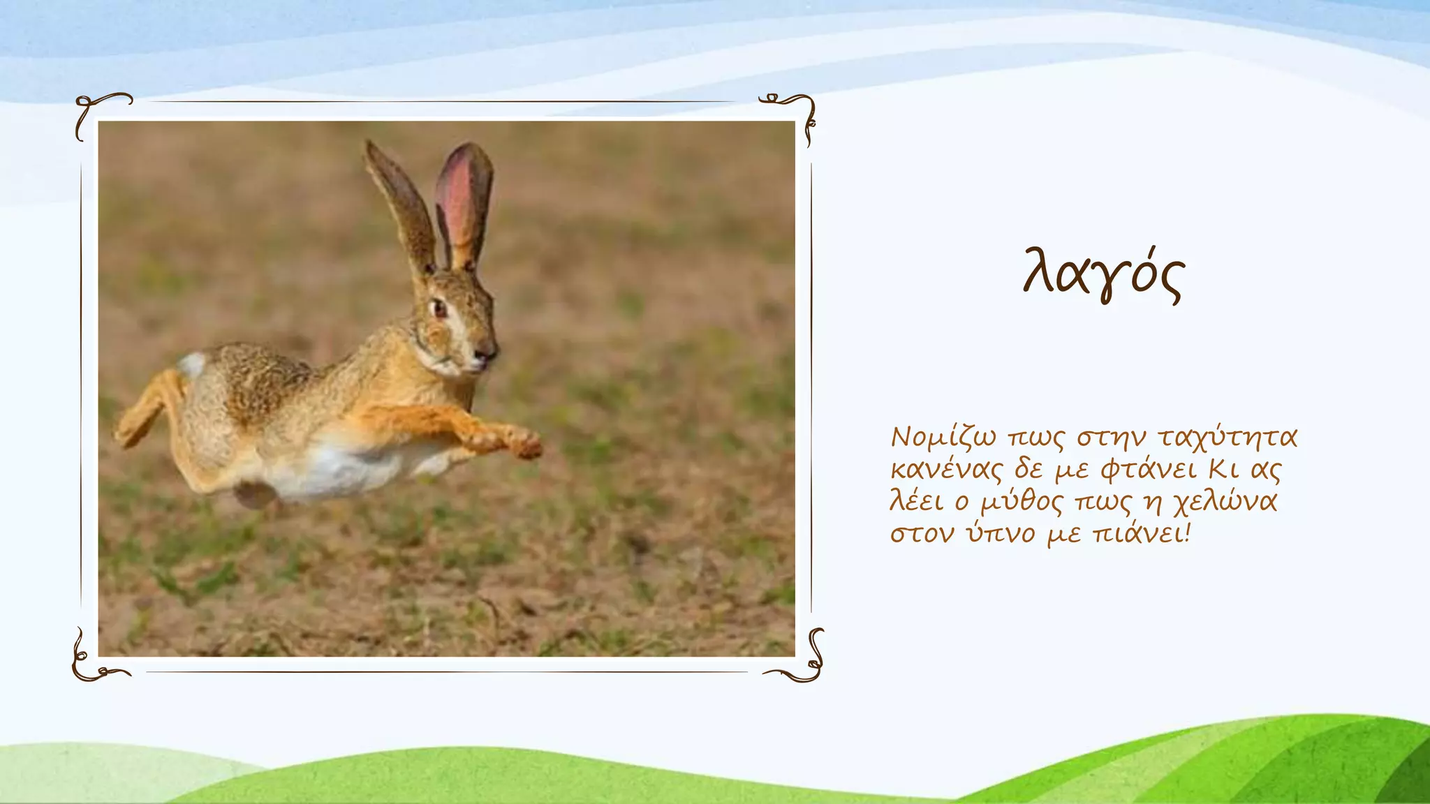 λαγός
Νομίζω πως στην ταχύτητα
κανένας δε με φτάνει Κι ας
λέει ο μύθος πως η χελώνα
στον ύπνο με πιάνει!
 