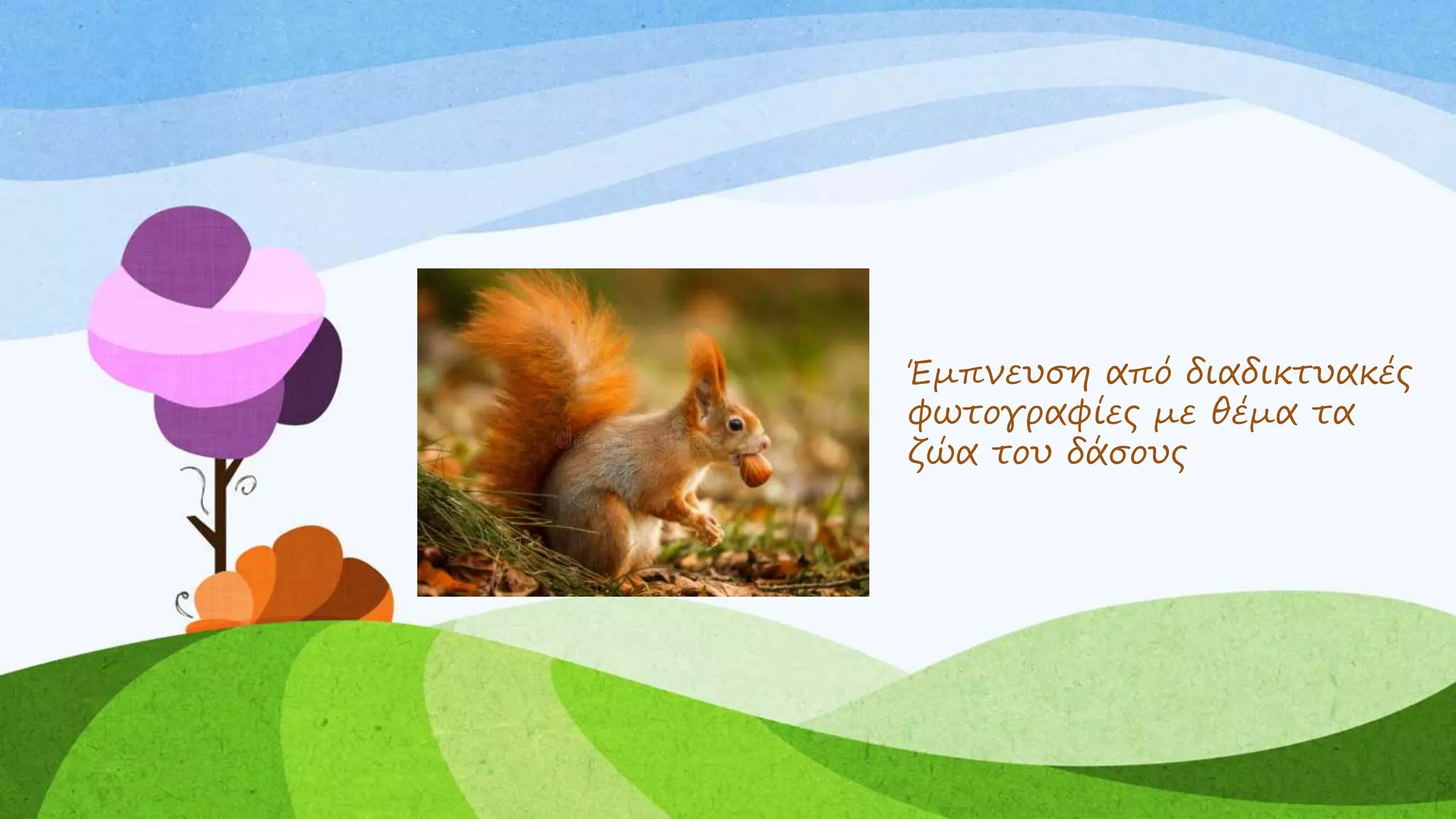 Έμπνευση από διαδικτυακές
φωτογραφίες με θέμα τα
ζώα του δάσους
 