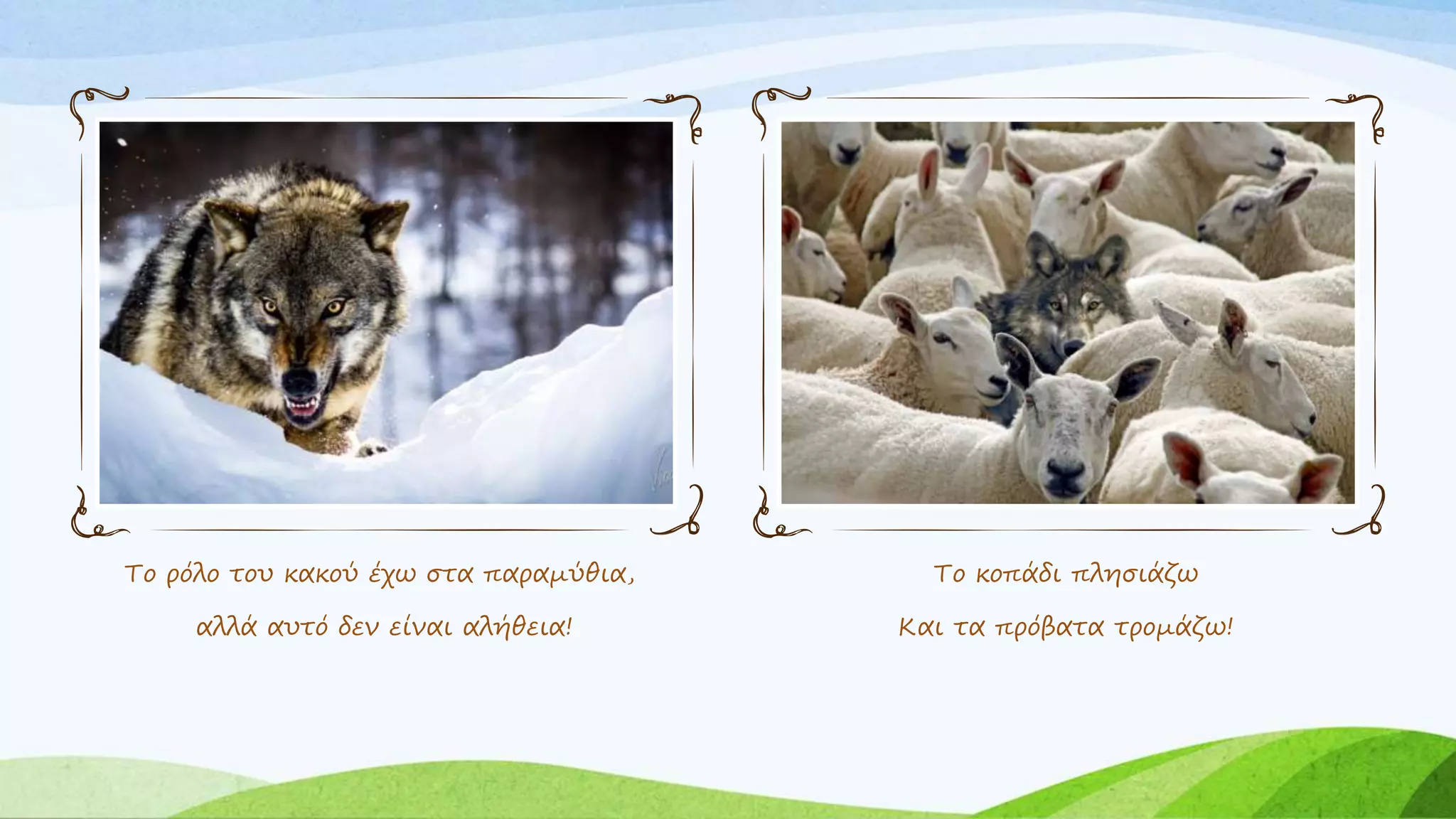 Το ρόλο του κακού έχω στα παραμύθια,
αλλά αυτό δεν είναι αλήθεια!
Το κοπάδι πλησιάζω
Και τα πρόβατα τρομάζω!
 