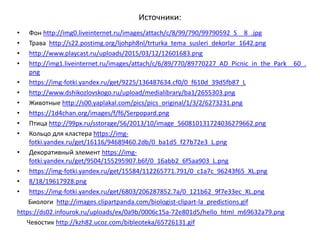 Источники:
• Фон http://img0.liveinternet.ru/images/attach/c/8/99/790/99790592_S__8_.jpg
• Трава http://s22.postimg.org/ljohph8nl/trturka_tema_susleri_dekorlar_1642.png
• http://www.playcast.ru/uploads/2015/03/12/12601683.png
• http://img1.liveinternet.ru/images/attach/c/6/89/770/89770227_AD_Picnic_in_the_Park__60_.
png
• https://img-fotki.yandex.ru/get/9225/136487634.cf0/0_f610d_39d5fb87_L
• http://www.dshikozlovskogo.ru/upload/medialibrary/ba1/2655303.png
• Животные http://s00.yaplakal.com/pics/pics_original/1/3/2/6273231.png
• https://1d4chan.org/images/f/f6/Serpopard.png
• Птица http://99px.ru/sstorage/56/2013/10/image_560810131724036279662.png
• Кольцо для кластера https://img-
fotki.yandex.ru/get/16116/94689460.2db/0_ba1d5_f27b72e3_L.png
• Декоративный элемент https://img-
fotki.yandex.ru/get/9504/155295907.b6f/0_16abb2_6f5aa903_L.png
• https://img-fotki.yandex.ru/get/15584/112265771.791/0_c1a7c_96243f65_XL.png
• 8/18/19617928.png
• https://img-fotki.yandex.ru/get/6803/206287852.7a/0_121b62_9f7e33ec_XL.png
Биологи http://images.clipartpanda.com/biologist-clipart-la_predictions.gif
https://ds02.infourok.ru/uploads/ex/0a9b/0006c15a-72e801d5/hello_html_m69632a79.png
Чевостик http://kzh82.ucoz.com/bibleoteka/65726131.gif
 