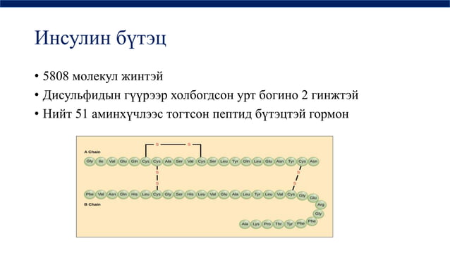 дотоод шүүрлийн физиологи