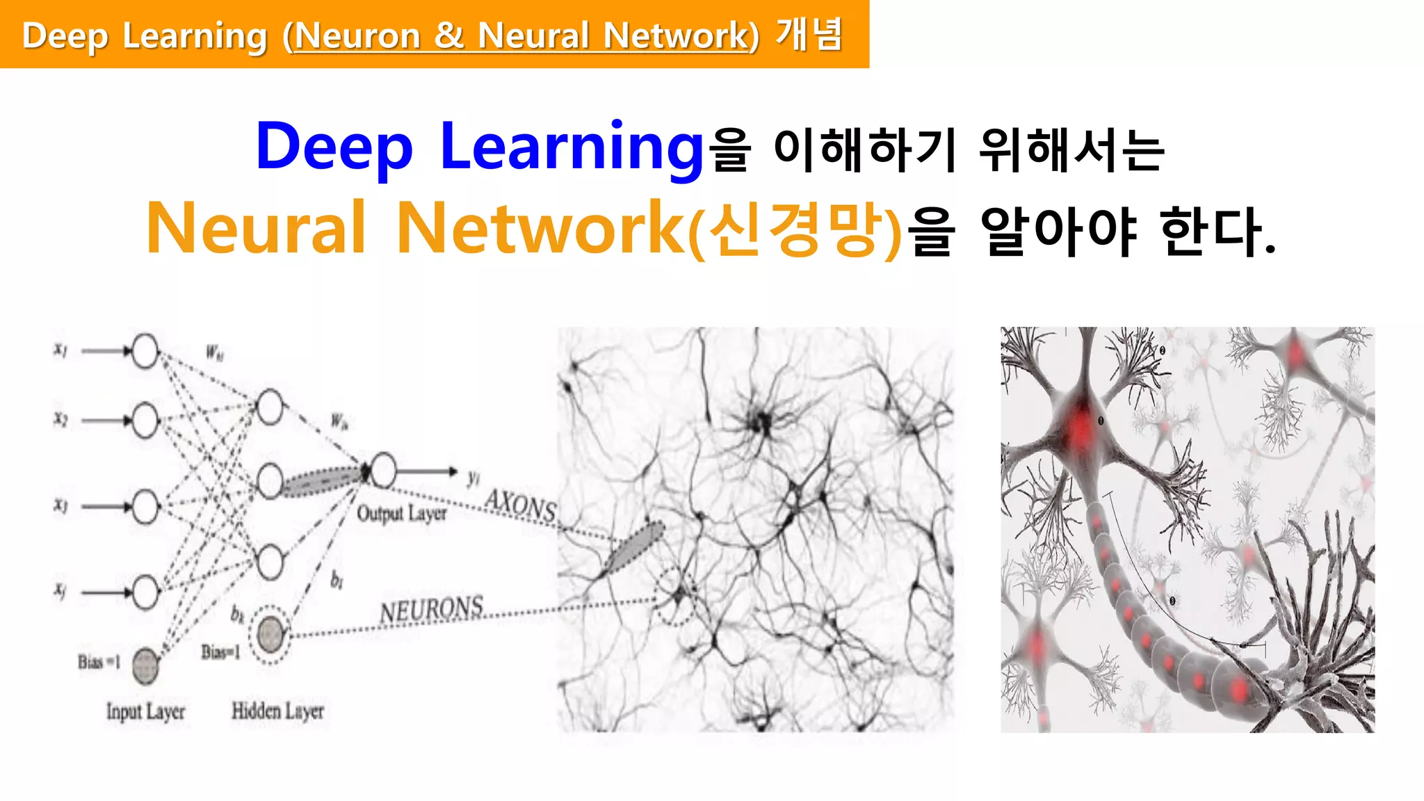 Deep Learning을 이해하기 위해서는
Neural Network(신경망)을 알아야 한다.
Deep Learning (Neuron & Neural Network) 개념
 