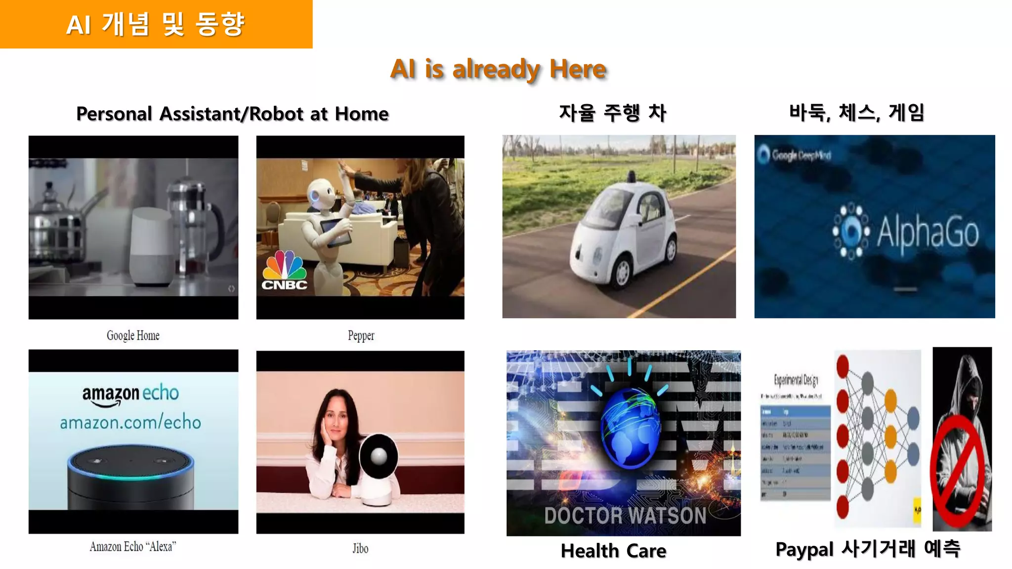 Personal Assistant/Robot at Home
AI 개념 및 동향
자율 주행 차 바둑, 체스, 게임
Health Care Paypal 사기거래 예측
AI is already Here
 