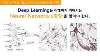 Deep Learning을 이해하기 위해서는
Neural Network(신경망)을 알아야 한다.
Deep Learning (Neuron & Neural Network) 개념
 