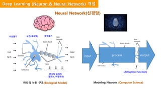 input process output
Modeling Neurons (Computer Science)하나의 뉴런 구조(Biological Model)
(Activation Function)
수상돌기 뉴런(세포핵) 축색돌기
전기적 임계치
(발화:1, 비발화:0)
Neural Network(신경망)
Deep Learning (Neuron & Neural Network) 개념
 