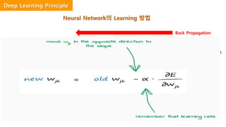 Deep Learning Principle
Back Propagation
Neural Network의 Learning 방법
e1(오차) = 예측 값 – 실제 값(정답)
1. Weight(가중치) W 값이 변화함에 따라
오차 E의 값이 얼마만큼 변하는지(변화량)
를 계산
2. 즉, W 값이 E(오차)에 미치는 영향을 계산
(기울기, 변화량, 미분)하여 오차가 0에 수
렴(오차 최소화) 하는 이 W 값을
자동으로 찾음
최종 보정 될 w값들
?
 
