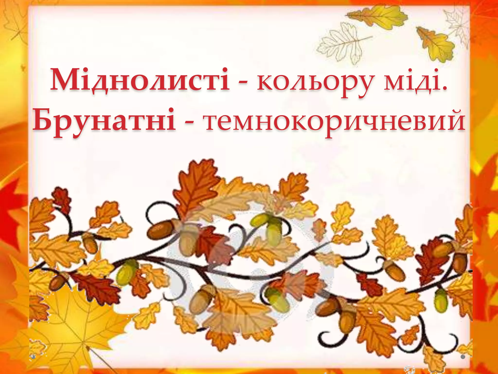 Міднолисті - кольору міді.
Брунатні - темнокоричневий
 