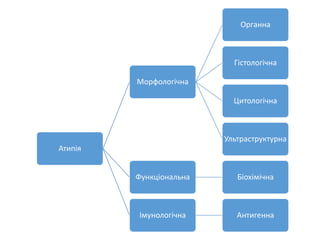 Атипія
Морфологічна
Органна
Гістологічна
Цитологічна
Ультраструктурна
Функціональна Біохімічна
Імунологічна Антигенна
 