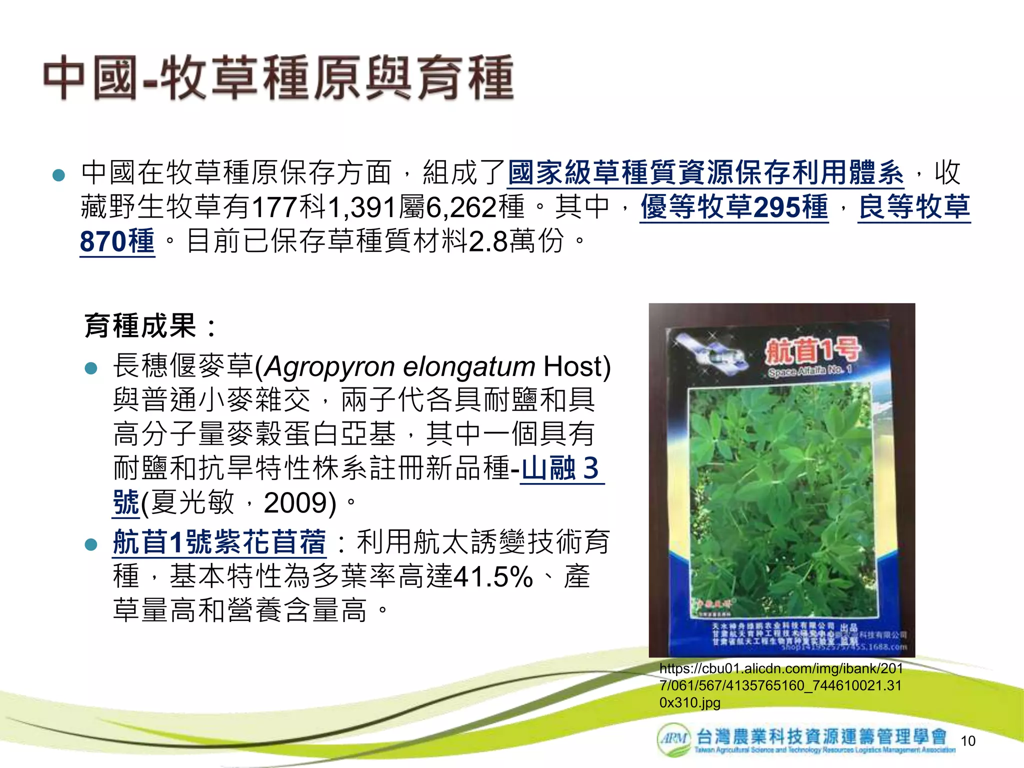  中國在牧草種原保存方面，組成了國家級草種質資源保存利用體系，收
藏野生牧草有177科1,391屬6,262種。其中，優等牧草295種，良等牧草
870種。目前已保存草種質材料2.8萬份。
10
育種成果：
 長穗偃麥草(Agropyron elongatum Host)
與普通小麥雜交，兩子代各具耐鹽和具
高分子量麥穀蛋白亞基，其中一個具有
耐鹽和抗旱特性株系註冊新品種-山融３
號(夏光敏，2009)。
 航苜1號紫花苜蓿：利用航太誘變技術育
種，基本特性為多葉率高達41.5%、產
草量高和營養含量高。
https://cbu01.alicdn.com/img/ibank/201
7/061/567/4135765160_744610021.31
0x310.jpg
 