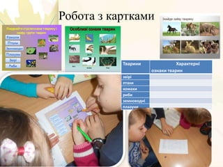 Робота з картками
Тварини Характерні
ознаки тварин
звірі
птахи
комахи
риби
земноводні
плазуни
 