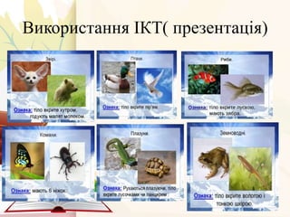 Використання ІКТ( презентація)
 