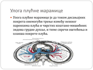 Плућа - Ј. Деветак | PPT