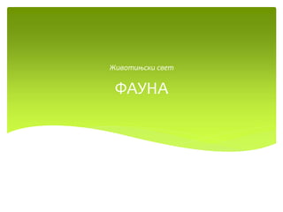 ФАУНА
Животињски свет
 