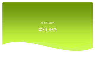 ФЛОРА
Биљни свет
 