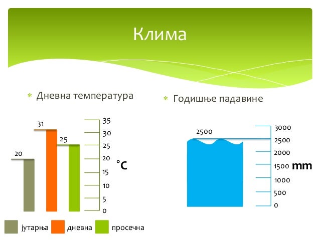 тропске кишне шуме
