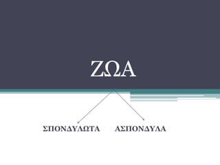 ΖΩΑ
ΣΠΟΝΔΥΛΩΤΑ ΑΣΠΟΝΔΥΛΑ
 
